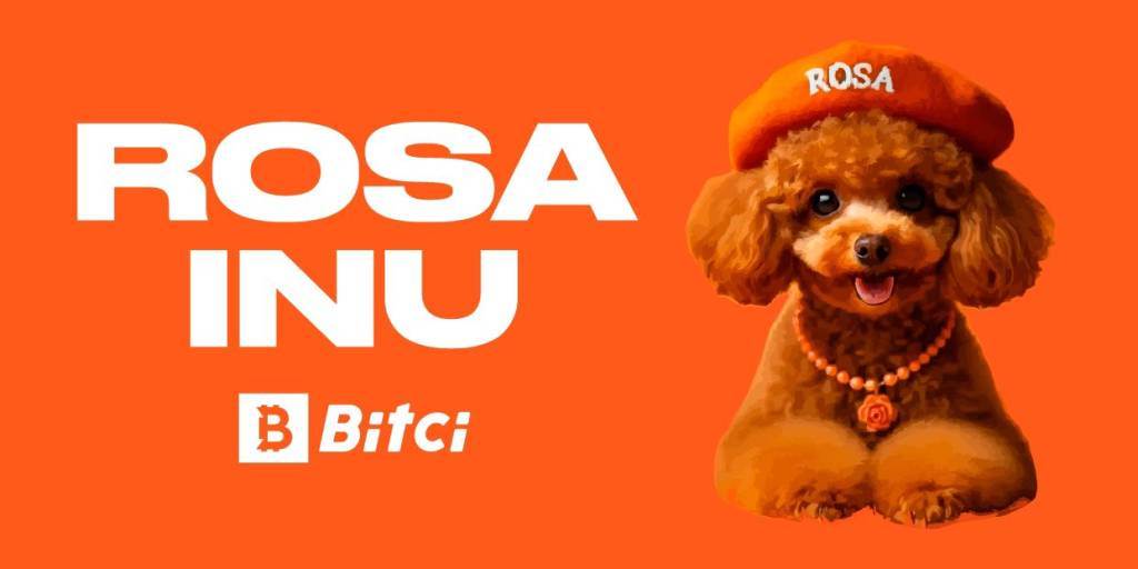 Bitci Borsa