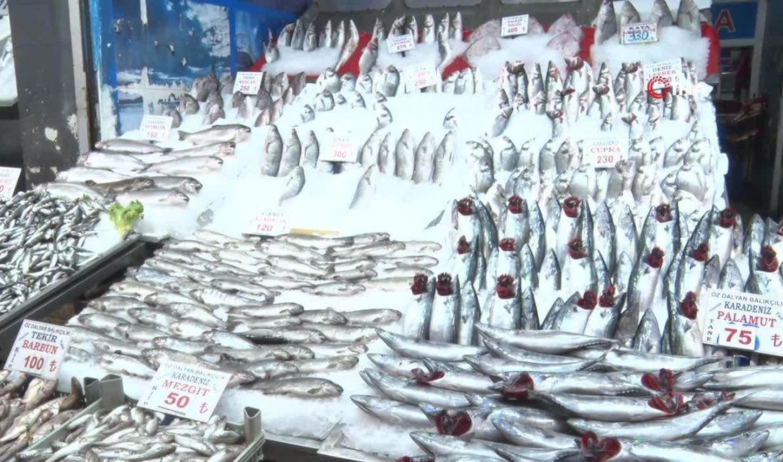 Karadeniz’de bu sezon palamut bolluğu yaşanmasına rağmen balık ürünleri vatandaşın sofrasına giremiyor.