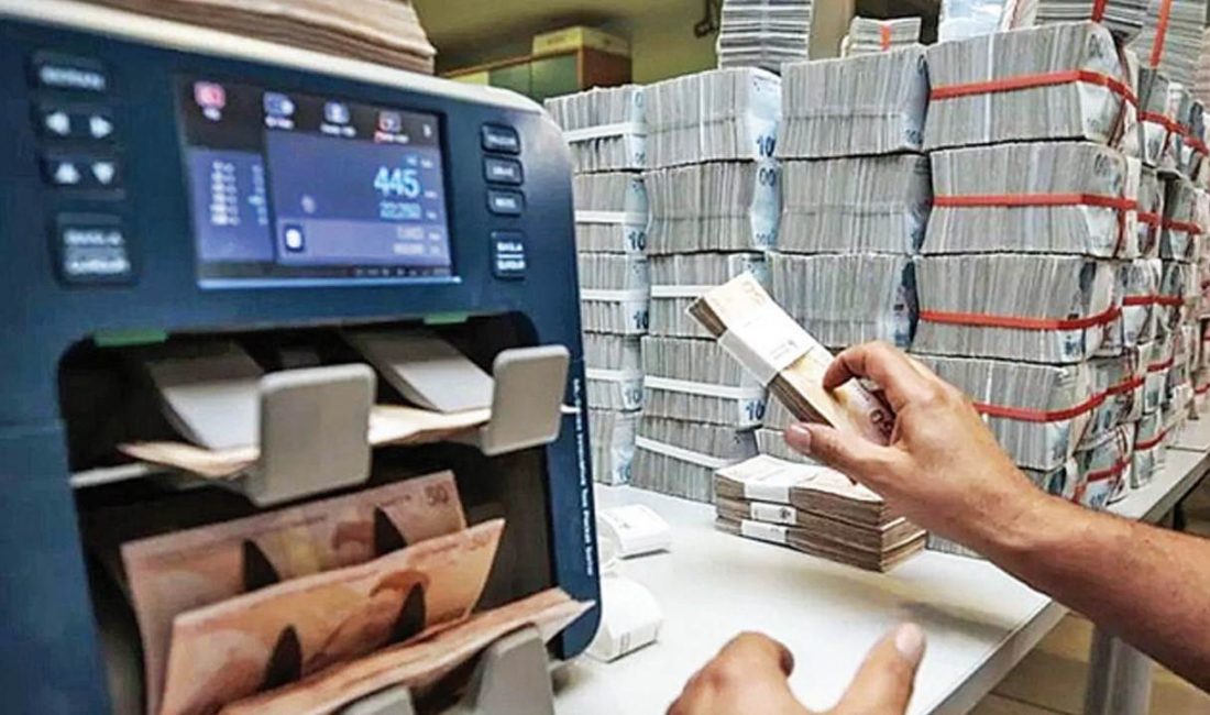 Bankacılık Düzenleme ve Denetleme Kurumu (BDDK) verilerine göre, haziran sonu