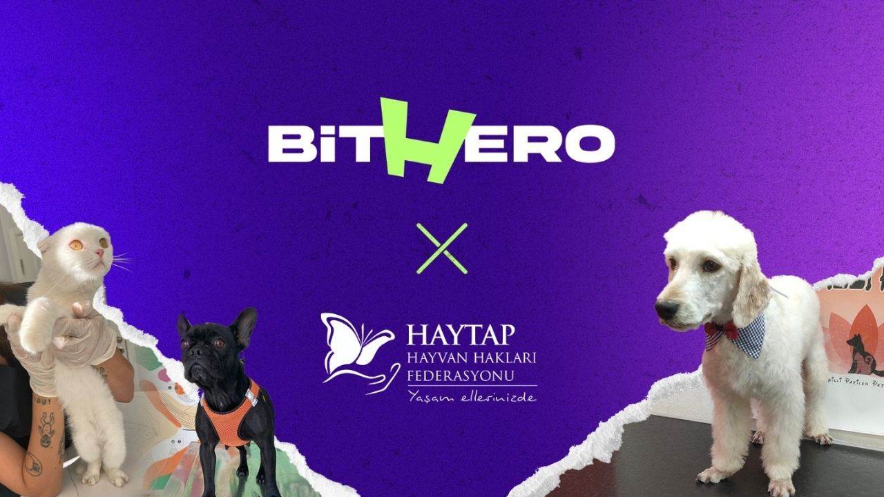 Kripto para sektörünün yenilikçi isimlerinden BitHero, hayvan dostu yaklaşımını bir