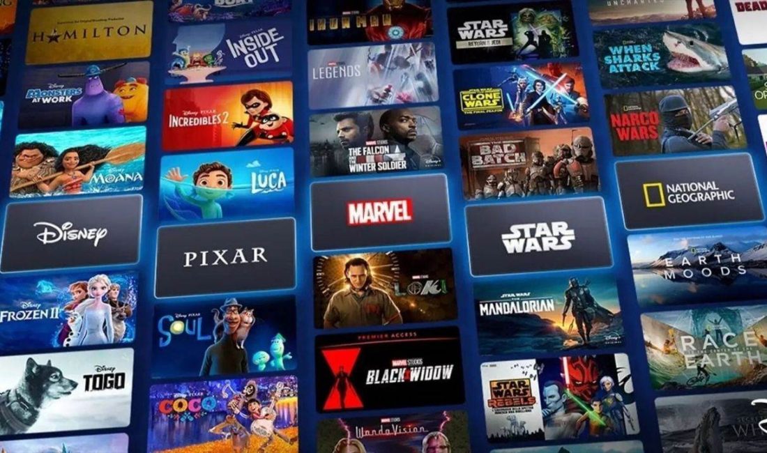 Dizi, film ve belgesel platformu Disney Plus, Türkiye aylık ve