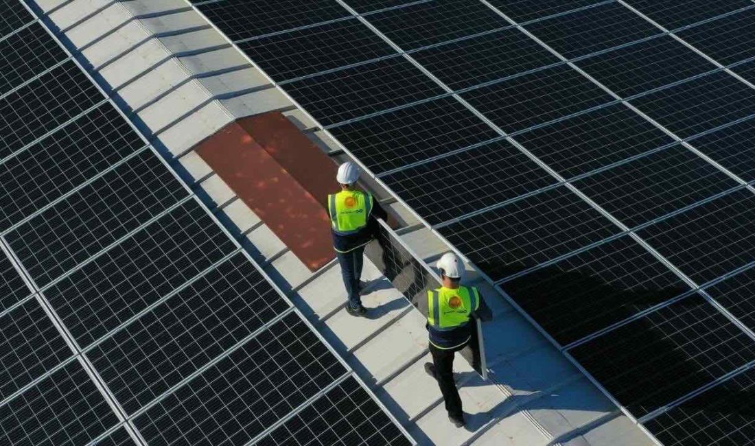 Enerjisa Enerji, ‘İşimin Enerjisi’ çatısı altında hayata geçirdiği yenilenebilir enerji
