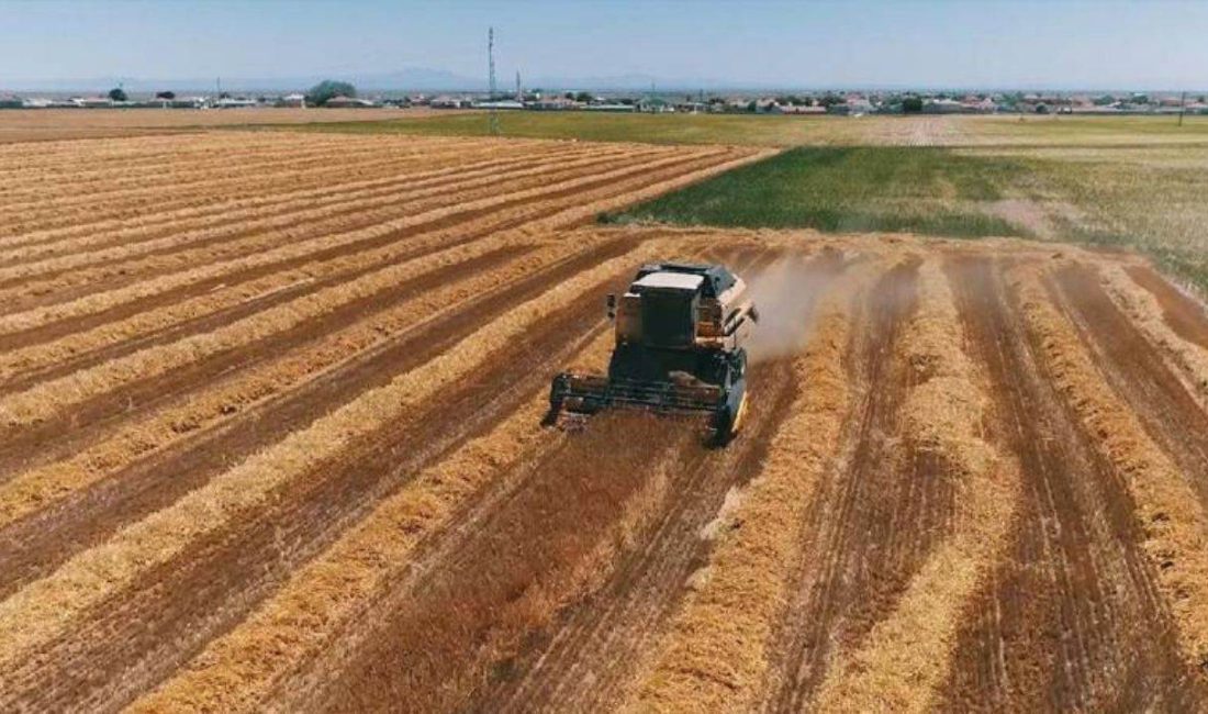 Devletten aldığı Kamu ihaleleriyle kamuoyunda adından sıkça söz ettiren Limak