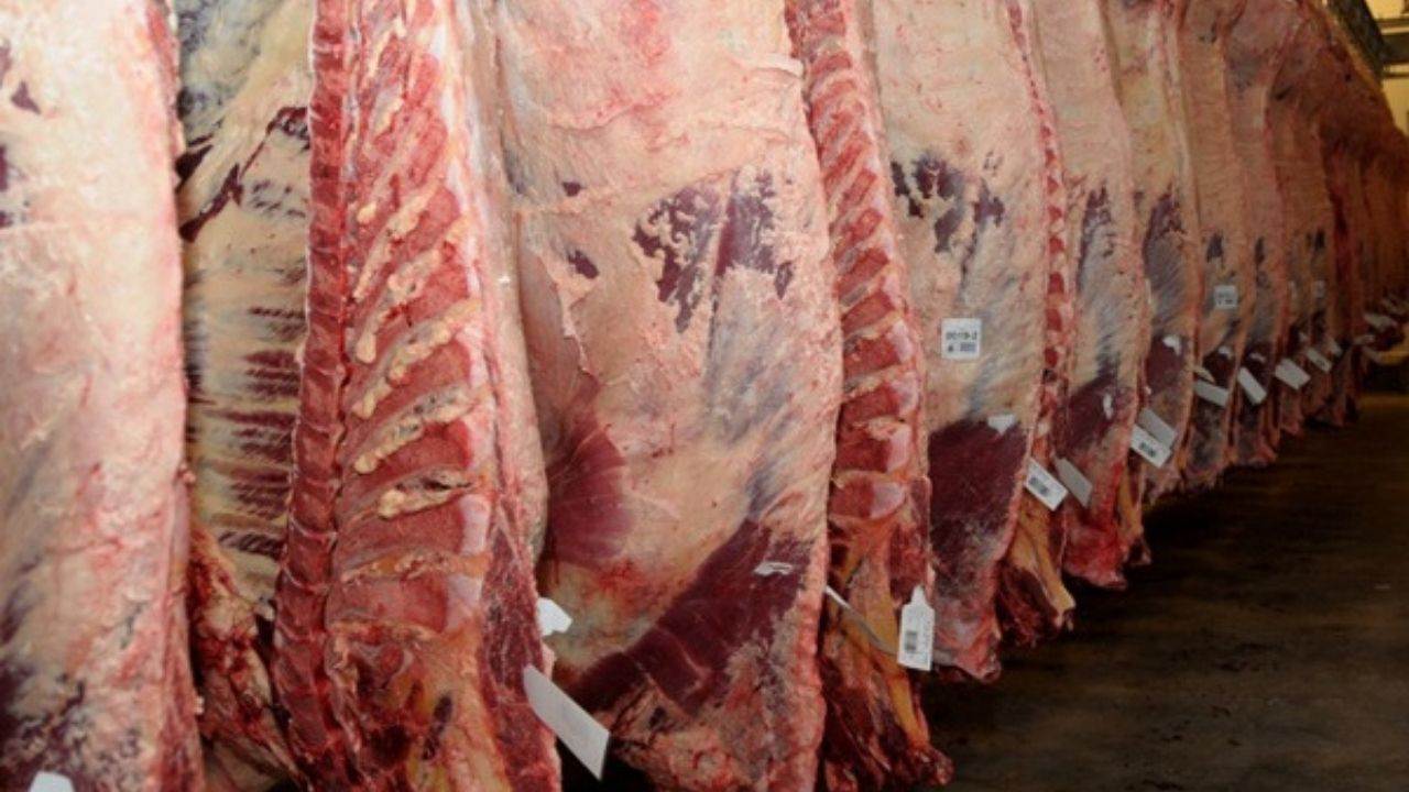 Karkas et fiyatlarına bugünden itibaren 15 lira zam yapılacak. Yapılacak