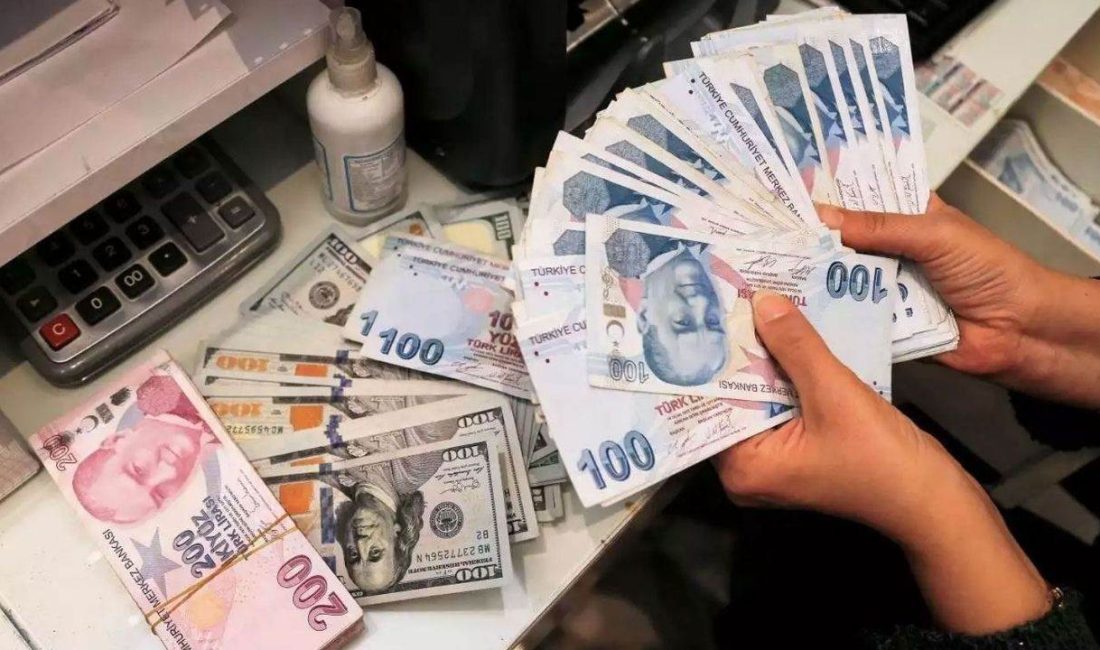 Geçen hafta açıklanan 2024 yılı enflasyon rakamlarının %44,38 ile beklenenden