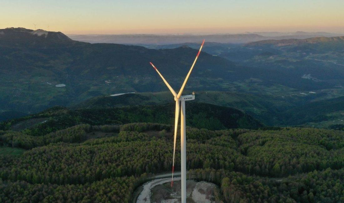 Eksim Enerji CEO’su Arkın Akbay, Enerji ve Tabii Kaynaklar Bakanlığı’nın