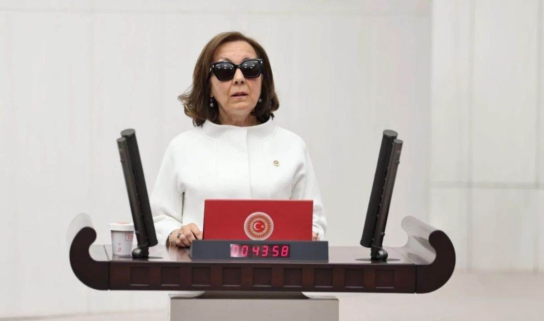 CHP kontenjanından milletvekili seçilen Gelecek Partisi kurucularından Serap Yazıcı Özbudun,