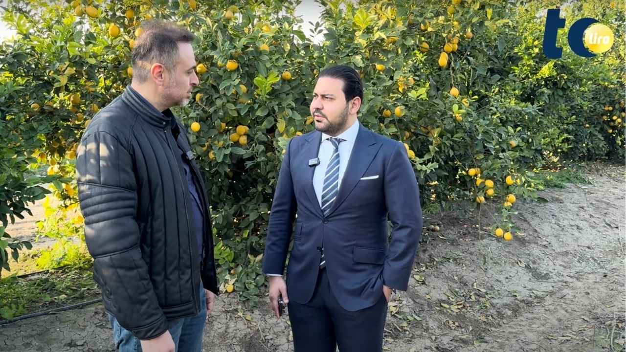 Türkiye’nin yaş meyve ve sebze ihracatı rekortmenleri listesinde 2024 yılında