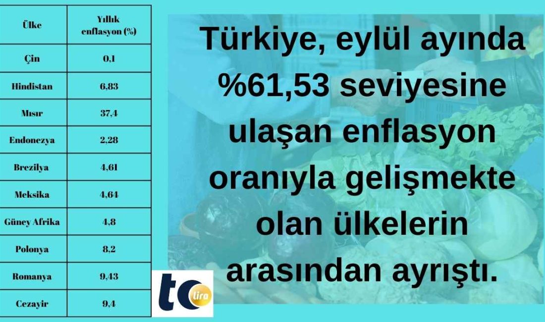 Polonya, Güney Afrika, Hindistan gibi gelişmekte olan ülkelerin enflasyonu Türkiye’nin