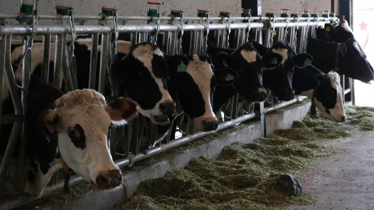 Tarım ve Orman Bakanlığı koordinesinde, Kahramanmaraş merkezli depremlerden etkilenen Dulkadiroğlu