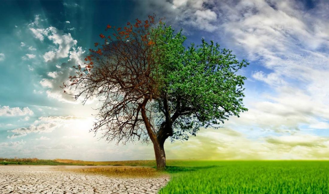 Türkiye’de çevre koruma harcamaları 2024 yılında artış gösterdi. Türkiye İstatistik