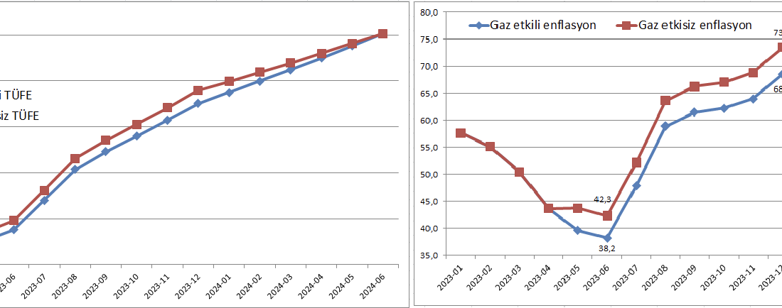 Tüketici enflasyonu üzerindeki ‘gaz etkisi’nin ele alındığı bir önceki yazıda
