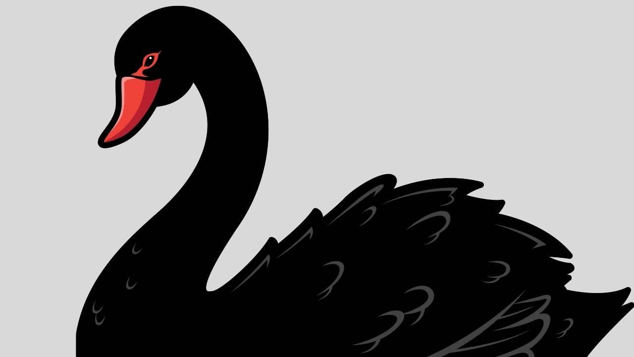 Black Swan olayları, finansal piyasalar üzerinde büyük, genellikle yıkıcı sonuçlar