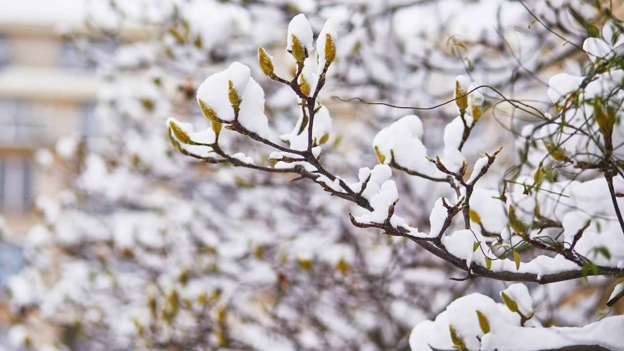 “O cılız, yeni yetme fideciklerin bir gün böyle büyüyüp insana