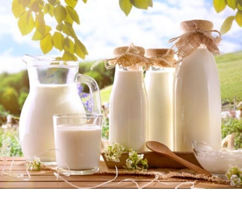 Türkiye İstatistik Kurumu şubat ayı süt ve süt ürünleri üretimi