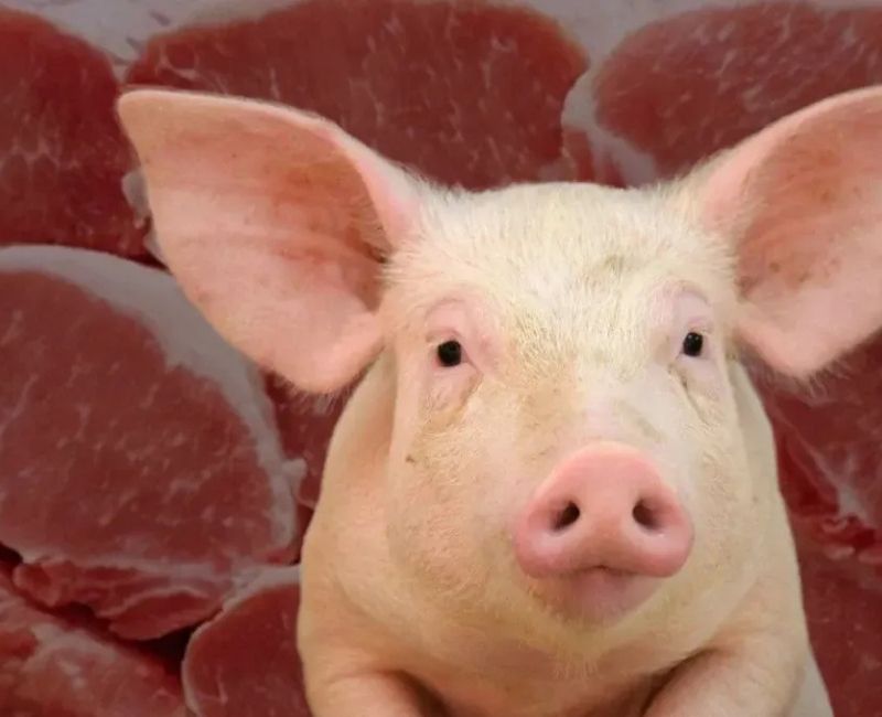 Türkiye, 2024 yılında domuz eti ihracatında dikkat çekici bir artış