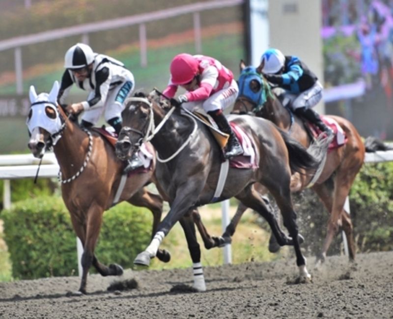 Alanında öncü şirketleri bünyesinde barındıran Hitay Holding ve Intralot ortak