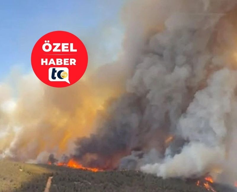 İzmir’in Foça ve Aliağa ilçelerinde bugün öğle saatlerinde çıkan orman