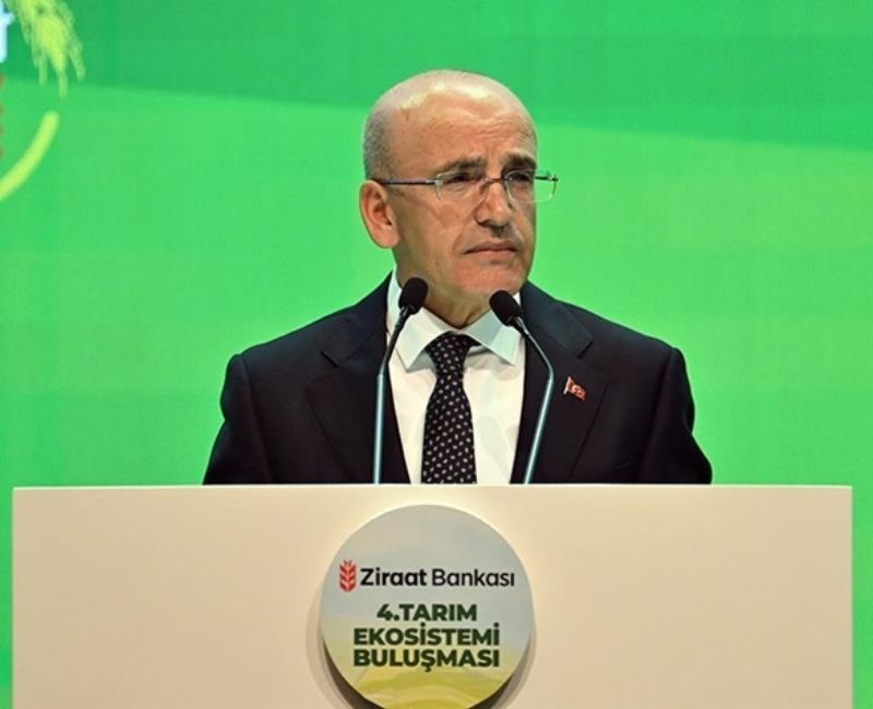 Hazine ve Maliye Bakanı Mehmet Şimşek, enflasyonla mücadelede ilerleme sağlandığını