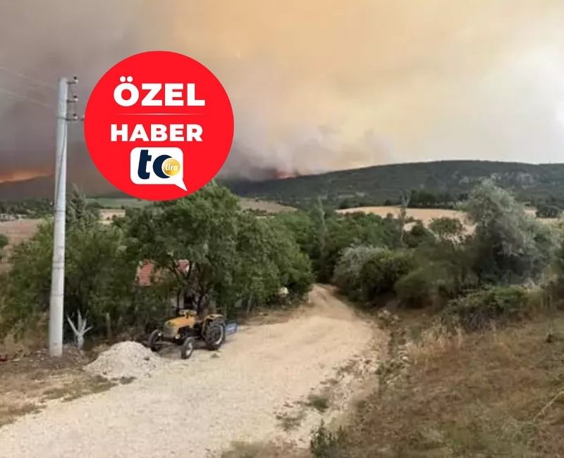 Antalya, Kahramanmaraş, Gaziantep, Bolu, Muğla’nın Bodrum ilçesi ve Manisa’da başlayan
