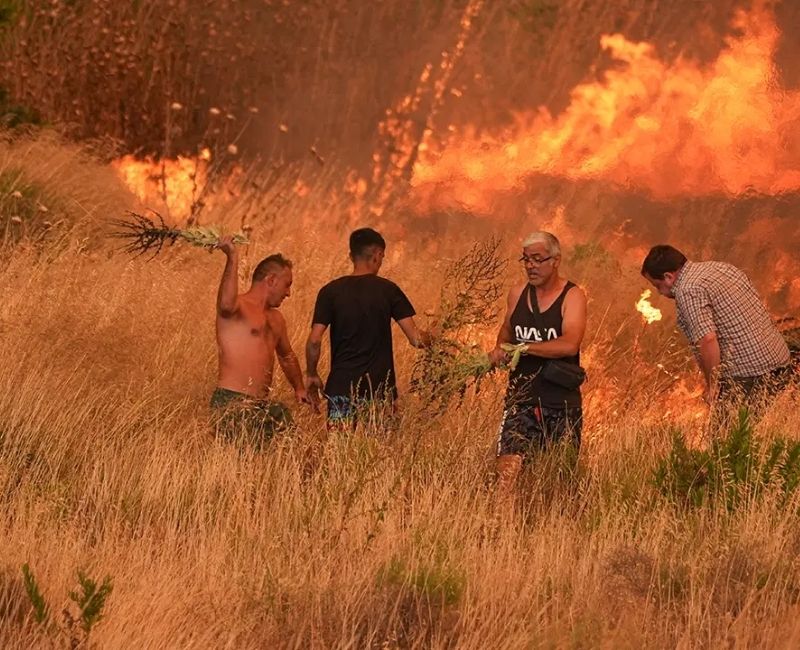 İzmir’in Menderes ilçesinde, Kuyucak Mahallesi ile Seferihisar’ın Orhanlı Mahallesi arasında