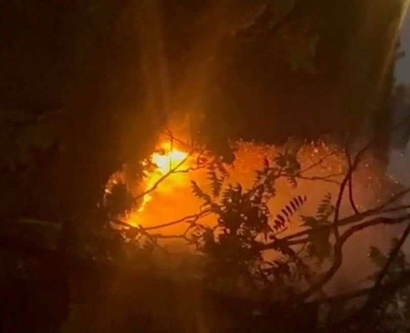 İstanbul Beykoz'da bulunan Çiğdem Mahallesi'ndeki ormanlık alanda yangın çıktı. Yangın