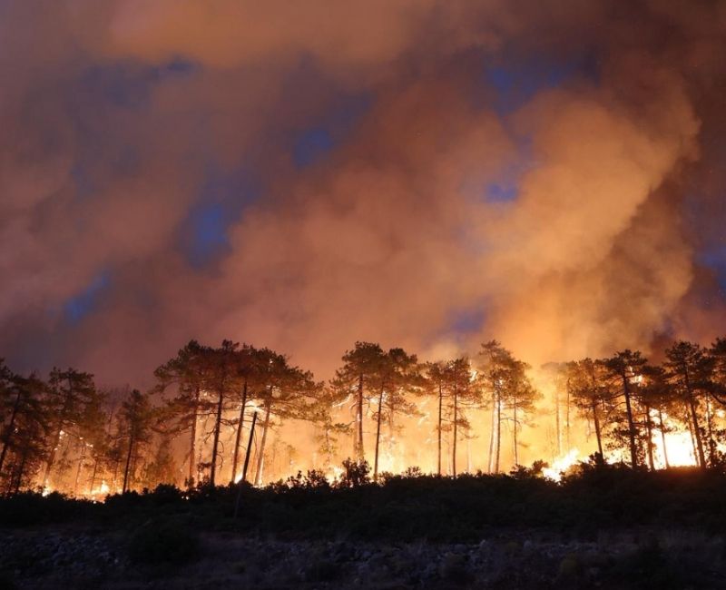 Bursa'da iki gündür süren orman yangınları, tüm müdahalelere rağmen henüz