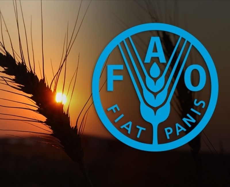 Birleşmiş Milletler Gıda ve Tarım Örgütü'nün (FAO) üst karar organı