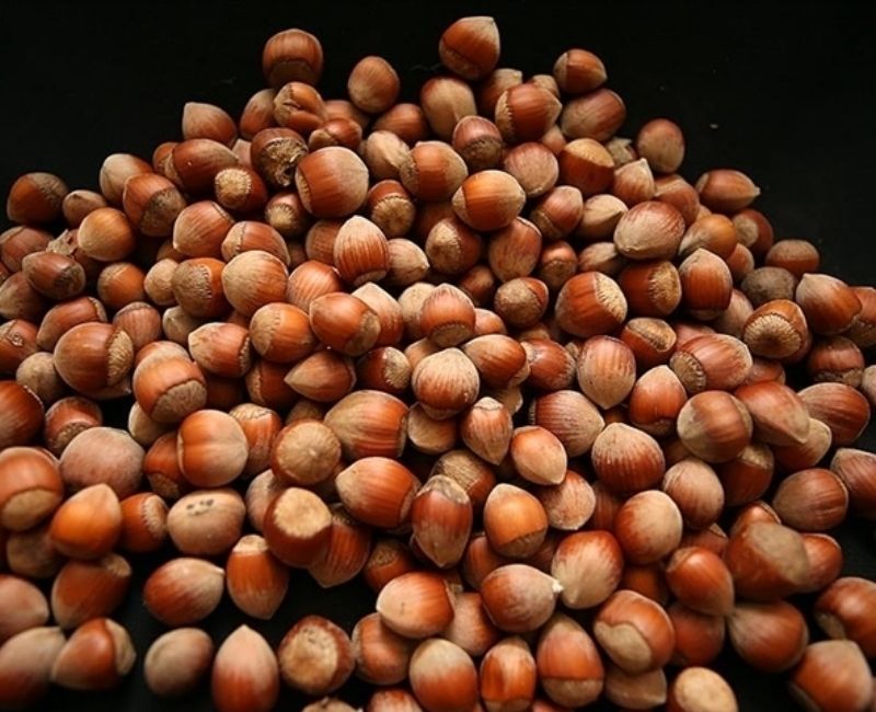 Türkiye, 2025’in ilk yarısında fındık ihracatından önemli bir gelir elde