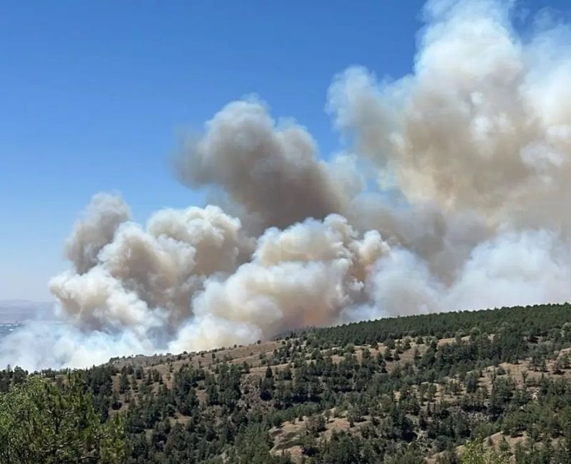 Ankara’nın Gölbaşı ilçesinde, Eymir Gölü yakınlarındaki ormanda yangın çıktı. Öğle
