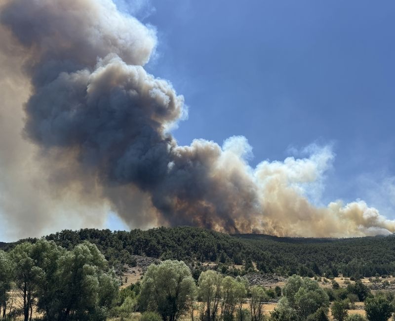 Eskişehir’in Seyitgazi ilçesinde başlayıp Afyonkarahisar’a kadar ilerleyen orman yangınında 10