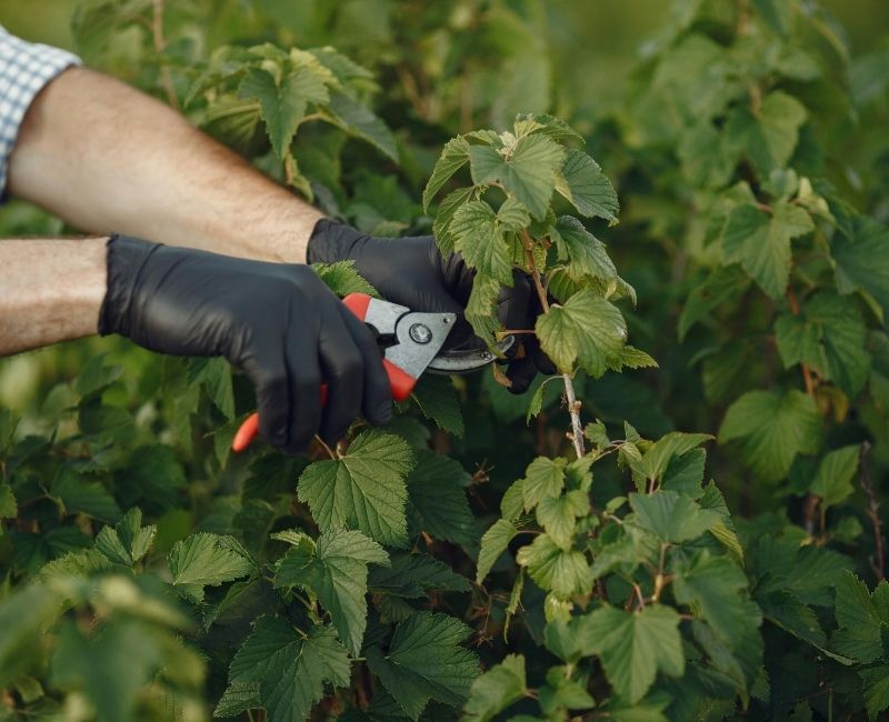 Doğanın zamanına saygı duymak, onunla bir yarışa girmekten çok daha