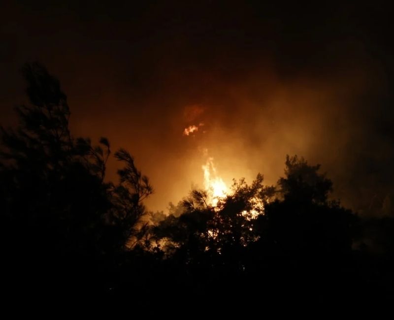 Muğla’nın Köyceğiz ilçesinde dün gece saatlerinde orman yangını çıktı. Rüzgarın
