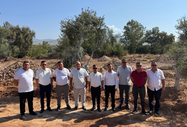 Santral sahalarındaki zeytin ağaçları bilimsel yöntemlerle yeni yerlerine taşındı