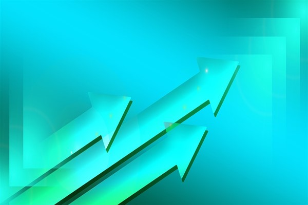 Sanifoam Endüstri ve Tüketim Ürünleri Sanayi Ticaret A.Ş, doğrudan bağlı