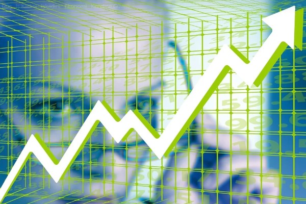 Gıpta Ofis Kırtasiye ve Promosyon Ürünleri İmalat Sanayi A.Ş, pay