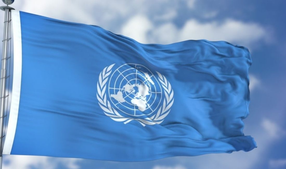 Birleşmiş Milletler Ticaret ve Kalkınma Konferansı (UNCTAD), 2025 yılına ilişkin