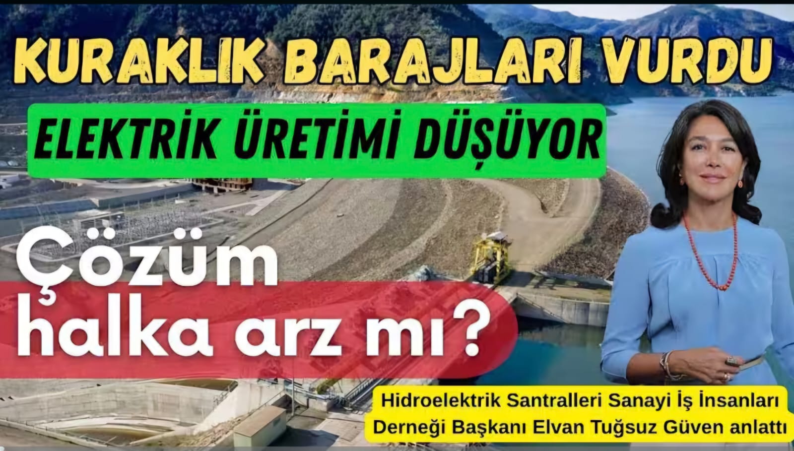 Hidroelektrik Santralları Sanayi İş İnsanları Derneği (HESİAD) Başkanı Elvan Tuğsuz