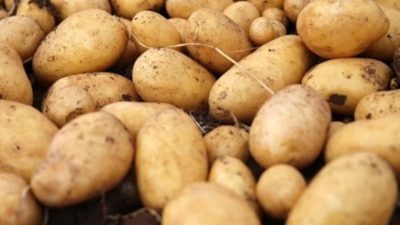 TZOB Genel Başkanı Şemsi Bayraktar, ekim ayında üretici ile market