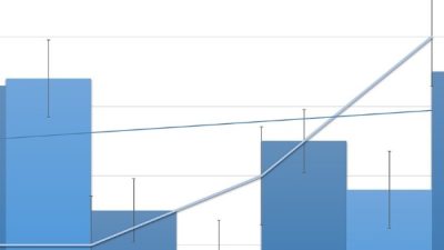 Devam eden yeni pay alma hakkı duyurusu yapıldı.