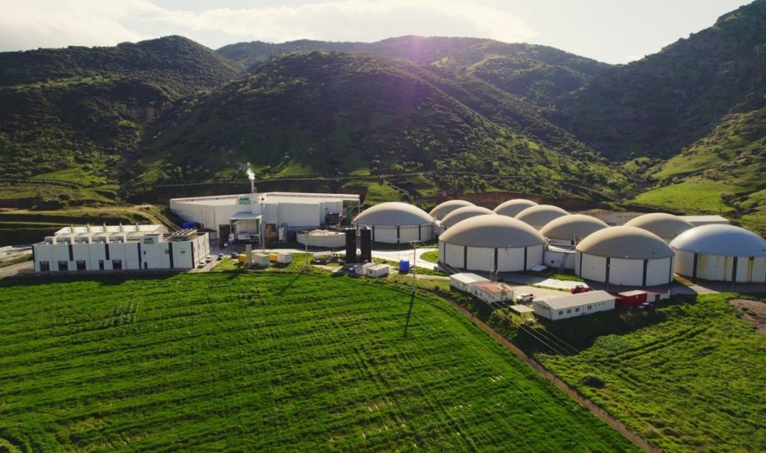 Yeni nesil yeşil dönüşüm şirketi ARF Bio halka arz oluyor.