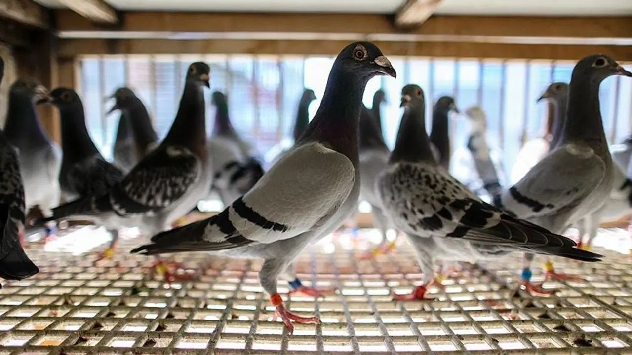 CHP Niğde Milletvekili Ömer Fethi Gürer, Türkiye’de artan borç yükünün