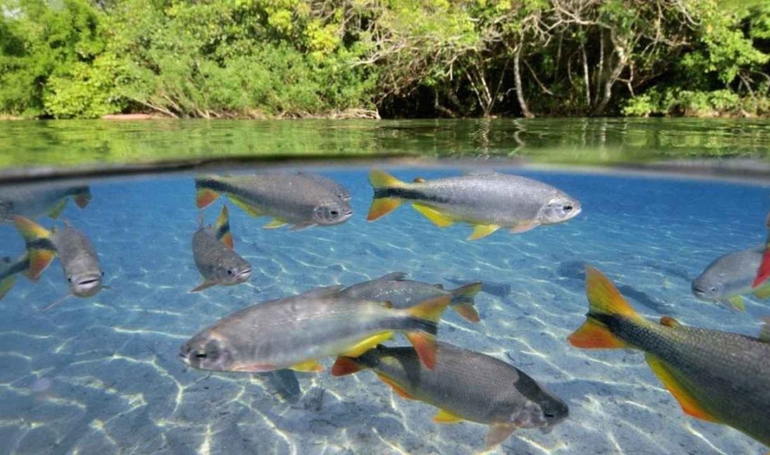 Geçtiğimiz haftalarda Bursa ilimizdeki hanelere hizmet veren barajların tamamen susuz