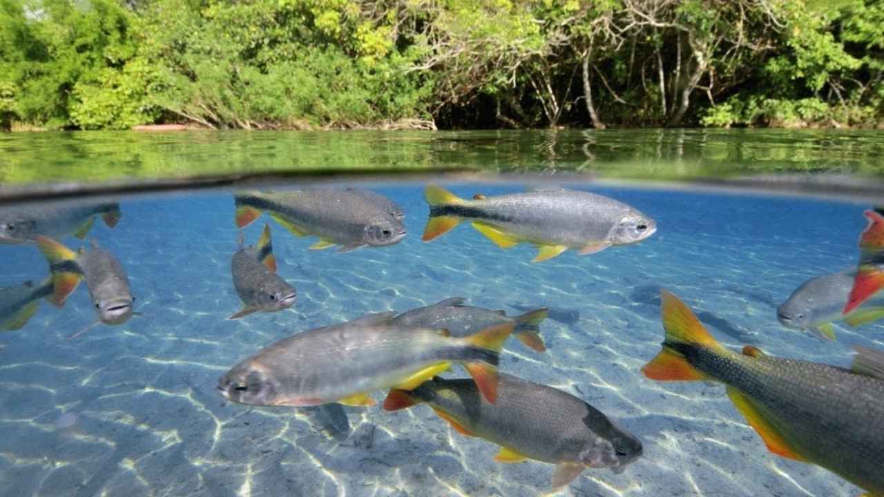 Geçtiğimiz haftalarda Bursa ilimizdeki hanelere hizmet veren barajların tamamen susuz