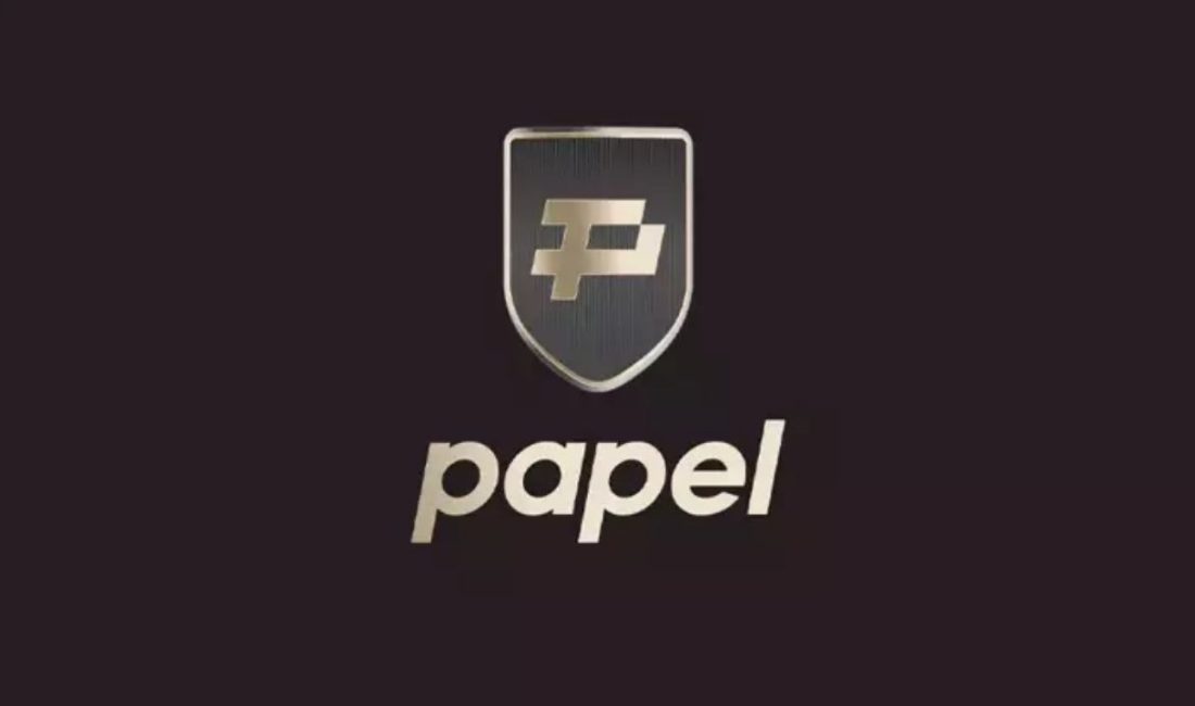 Papel Elektronik Para ve Ödeme Hizmetleri A.Ş. hakkında yürütülen soruşturma