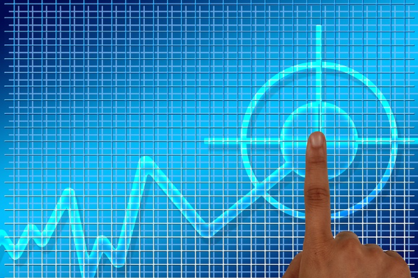 Vanet Gıda Sanayi İç ve Dış Ticaret A.Ş, sermaye artımı