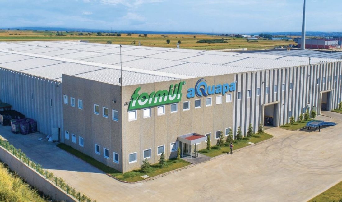 Formül Plastik ve Metal Sanayi A.Ş., yurt içi müşterilerinden toplam