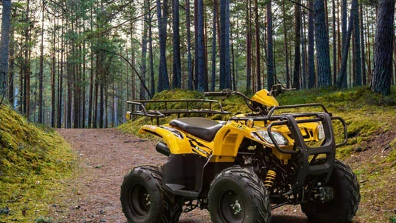 ATV (arazi taşıtı) ithalatına yönelik gümrük kıymetlerinde motor gücüne göre