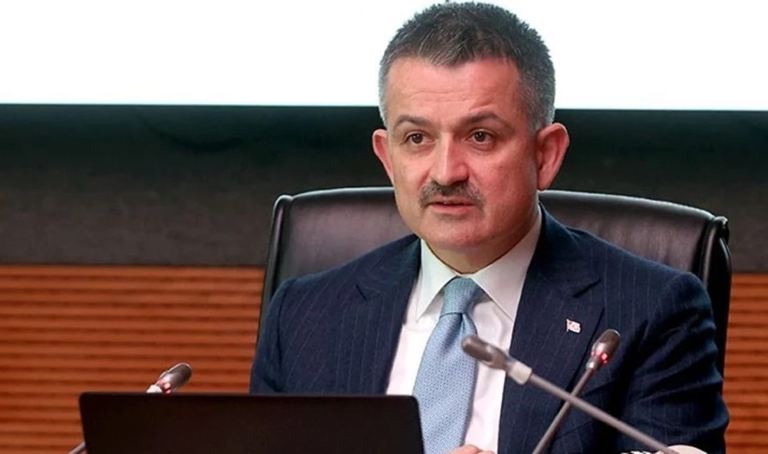 Eski Tarım ve Orman Bakanı Bekir Pakdemirli, perakende zinciri BİM’in