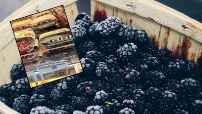 İstanbul’da bir markette satışa sunulan Belçika menşeli böğürtlenin fiyatı dikkat